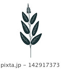 basil vector illustration 142917373