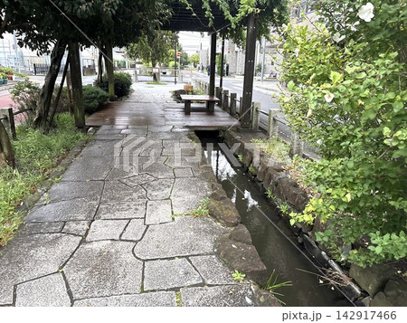 緑と水路のある石畳の遊歩道と休憩スペース 緑と水路のある石畳の遊歩道と休憩スペース 142917466