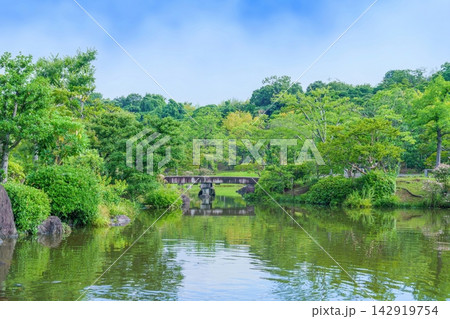 新緑の日本庭園と穏やかな池に架かる石橋の風景 新緑の日本庭園と穏やかな池に架かる石橋の風景 142919754