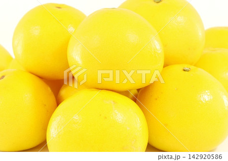 土佐文旦 ブンタン 大きい柑橘類 明るい背景 土佐文旦 ブンタン 大きい柑橘類 明るい背景 142920586