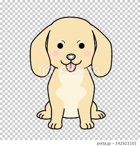 迷你臘腸犬的向量插圖(光滑毛髮,奶油色,全身像)。 迷你臘腸犬的向量插圖(光滑毛髮,奶油色,全身像)。 142923101