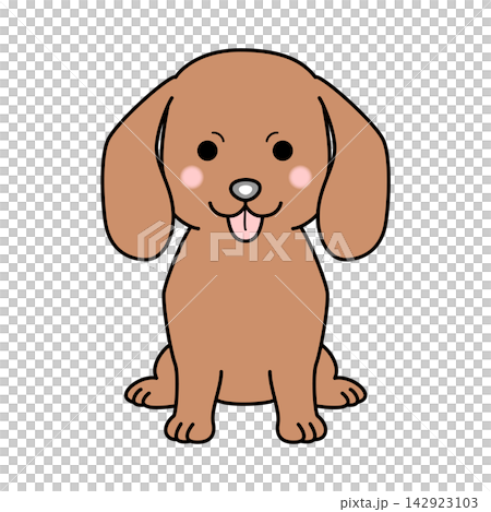 迷你臘腸犬的向量圖(光滑毛髮,紅色,全身像)。 迷你臘腸犬的向量圖(光滑毛髮,紅色,全身像)。 142923103