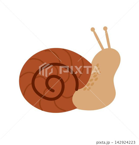 snail with shell illustration snail with shell illustration 142924223