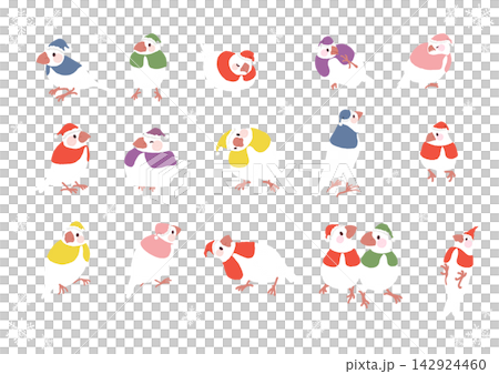 A set of cute and colorful illustrations of white Java sparrows in winter, dressed as Santa Claus. A set of cute and colorful illustrations of white Java sparrows in winter, dressed as Santa Claus. 142924460