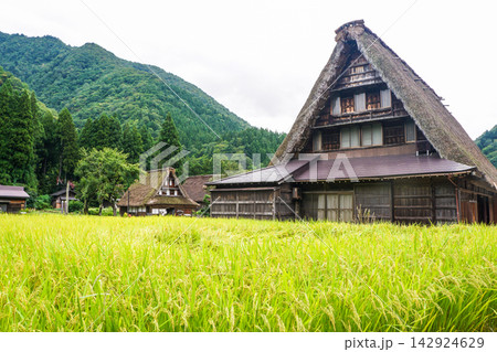 富山県南砺市の五箇山集落 富山県南砺市の五箇山集落 142924629