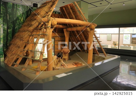 竪穴住居の展示(大分市歴史資料館) 竪穴住居の展示(大分市歴史資料館) 142925015