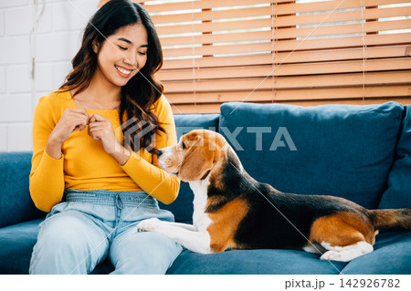 On the sofa, a woman teaches and embraces her Beagle puppy, creating a portrait of friendship and happiness at home. Their playful interaction is heartwarming. Pet love On the sofa, a woman teaches and embraces her Beagle puppy, creating a portrait of friendship and happiness at home. Their playful interaction is heartwarming. Pet love 142926782