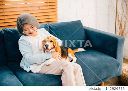 A grandmother embraces her Beagle puppy on the sofa, filling their living room with warmth and happiness. Their togetherness exemplifies the confidence and love between a woman and her pet. 142926783