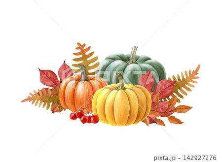 Autumn pumpkin floral composition, hand painted watercolor illustration isolated. Fall pumpkins, leaves, berries and flowers for Thanksgiving cards, invitations, packaging and seasonal decor 142927276