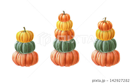 Stacked autumn pumpkins set isolated on background. Hand painted pumpkin decor watercolor illustration for Thanksgiving, fall crafts, greeting cards, stationery, seasonal design 142927282