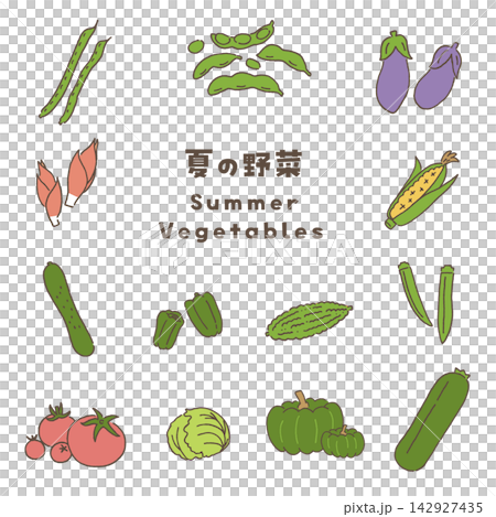 A set of vector illustrations of summer vegetables. A set of vector illustrations of summer vegetables. 142927435