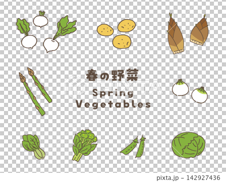 A set of vector illustrations of spring vegetables. A set of vector illustrations of spring vegetables. 142927436
