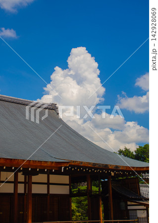 聖護院と夏雲 不動明王のご利益：厄除開運,身体健勝,諸願成就 142928069