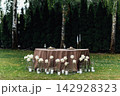 Modern wedding floor decor with white roses in glass vases and candles on grass lawn. 142928323