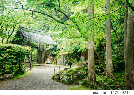 【滋賀県東近江市】金剛輪寺 新緑と白門 【滋賀県東近江市】金剛輪寺 新緑と白門 142929245