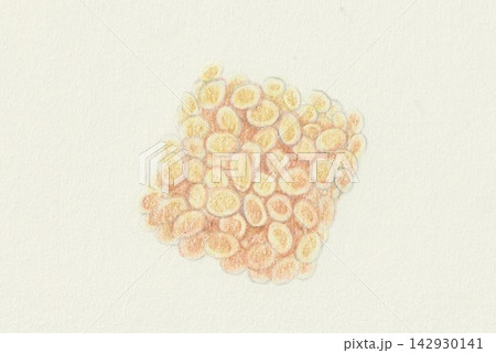 納豆 納豆 142930141