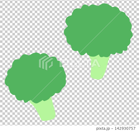 ブロッコリーのイラスト ブロッコリーのイラスト 142930757