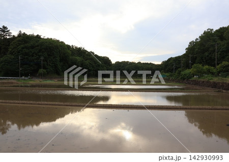 日本の原風景である「寺家ふるさと村」の春の田植えの準備された風景 142930993