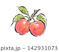 水彩で描いた絵手紙風のリンゴのイラスト 142931073