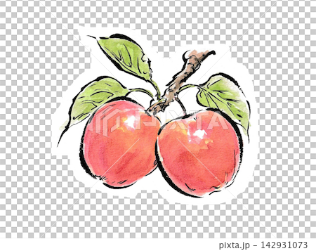 A watercolor-style illustration of an apple in the style of a picture postcard. A watercolor-style illustration of an apple in the style of a picture postcard. 142931073