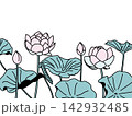 蓮の花と葉のフレーム　美しい切り絵風のイラスト 142932485