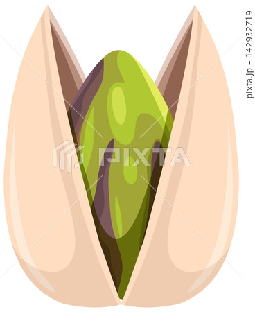 Single Open Pistachio Nut Vector Illustration on White Background Single Open Pistachio Nut Vector Illustration on White Background 142932719