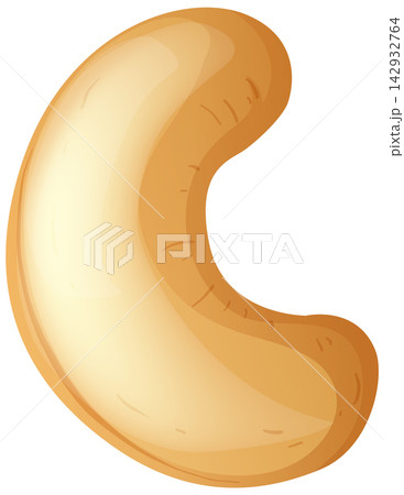 Single Roasted Cashew Nut Vector Illustration on White Background 142932764
