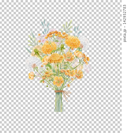 Hand drawn watercolor bouquet of dandelions, buttercups, tansy, chamomile and yarrow tied with twine. Pastel meadow wildflower composition isolated for stationery, wedding, packaging and floral design 142932783