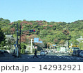 鹿児島　城山の紅葉 142932921