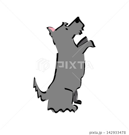 Cute illustration with a Scottish Terrier standing on hind legs. Simple doodle pet portrait. Cute illustration with a Scottish Terrier standing on hind legs. Simple doodle pet portrait. 142933478