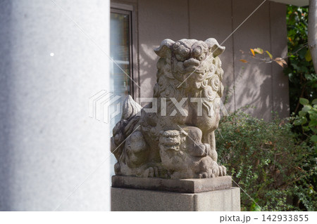 【日本】都内の住吉神社の鳥居側に鎮座する石造りの狛犬 【日本】都内の住吉神社の鳥居側に鎮座する石造りの狛犬 142933855