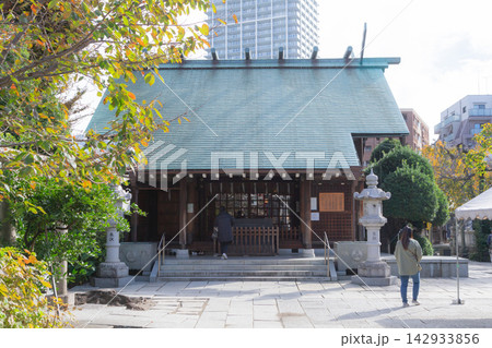【日本】都内の住吉神社の本殿外観と紅葉した街路樹 142933856