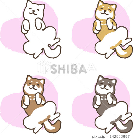 柴犬_寝転ぶ 柴犬_寝転ぶ 142933997