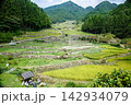 棚田のある風景 142934079