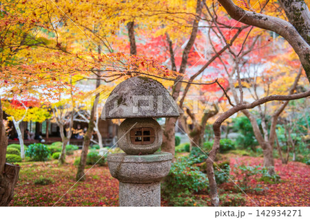 Stone lantern at autumn foliage garden at Enko-ji temple, Kyoto 142934271