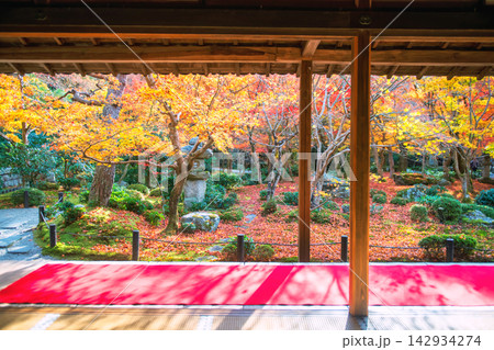 Japanese autumn garden view from Enko-ji temple main hall, Kyoto, 142934274
