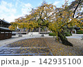 秋の香積院 142935100
