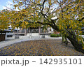 秋の香積院 142935101