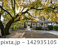 秋の香積院 142935105