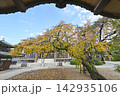 秋の香積院 142935106