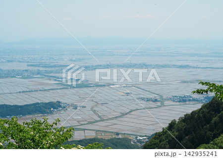 山上から見下ろす春の広大な水田地帯 山上から見下ろす春の広大な水田地帯 142935241
