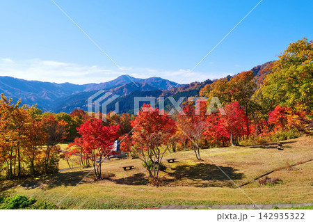 山形県朝日町の紅葉風景(山形県西村山郡朝日町) 山形県朝日町の紅葉風景(山形県西村山郡朝日町) 142935322