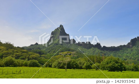 仏領ポリネシア 海と山の絶景 モーレア島 仏領ポリネシア 海と山の絶景 モーレア島 142935342