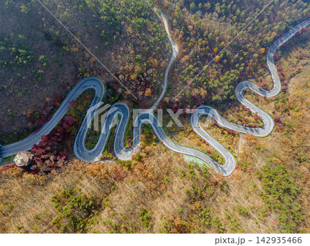 Autumn scenery 142935466
