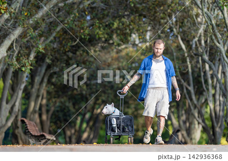 Old bull terrier in a cart being walked by a male owner in a park with trees and benches visible along the pathway during a sunny day Old bull terrier in a cart being walked by a male owner in a park with trees and benches visible along the pathway during a sunny day 142936368