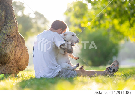 Old bull terrier being held by male owner sitting on grass under a tree in a sunny park, showcasing a bond between pet and owner in a natural setting Old bull terrier being held by male owner sitting on grass under a tree in a sunny park, showcasing a bond between pet and owner in a natural setting 142936385