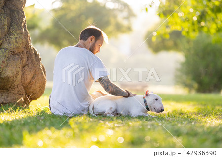 Old bull terrier rests beside male owner in a sunlit park, with green grass and trees creating a serene outdoor environment for relaxation and companionship Old bull terrier rests beside male owner in a sunlit park, with green grass and trees creating a serene outdoor environment for relaxation and companionship 142936390