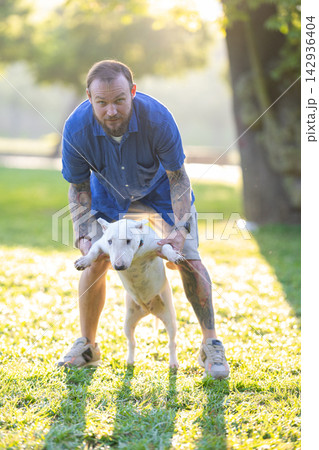 Old bull terrier being held by male owner in a sunlit park, with green grass and trees creating a natural outdoor setting 142936404