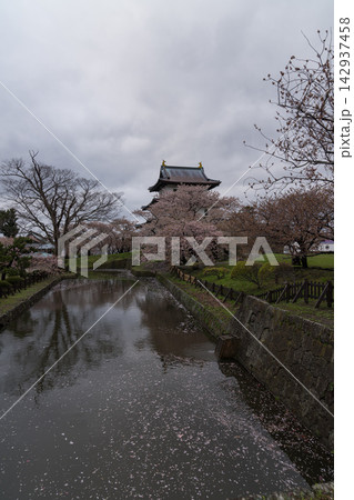 堀に映る松前城と桜(縦位置) 堀に映る松前城と桜(縦位置) 142937458