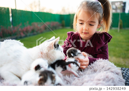 Little girl playing with a mother cat and kittens Little girl playing with a mother cat and kittens 142938249